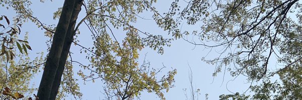 JessicaKillips Profile Banner