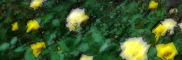 lookingGlassess Profile Banner