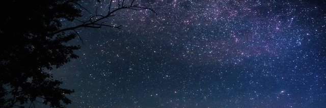 Railey Simonsen banner