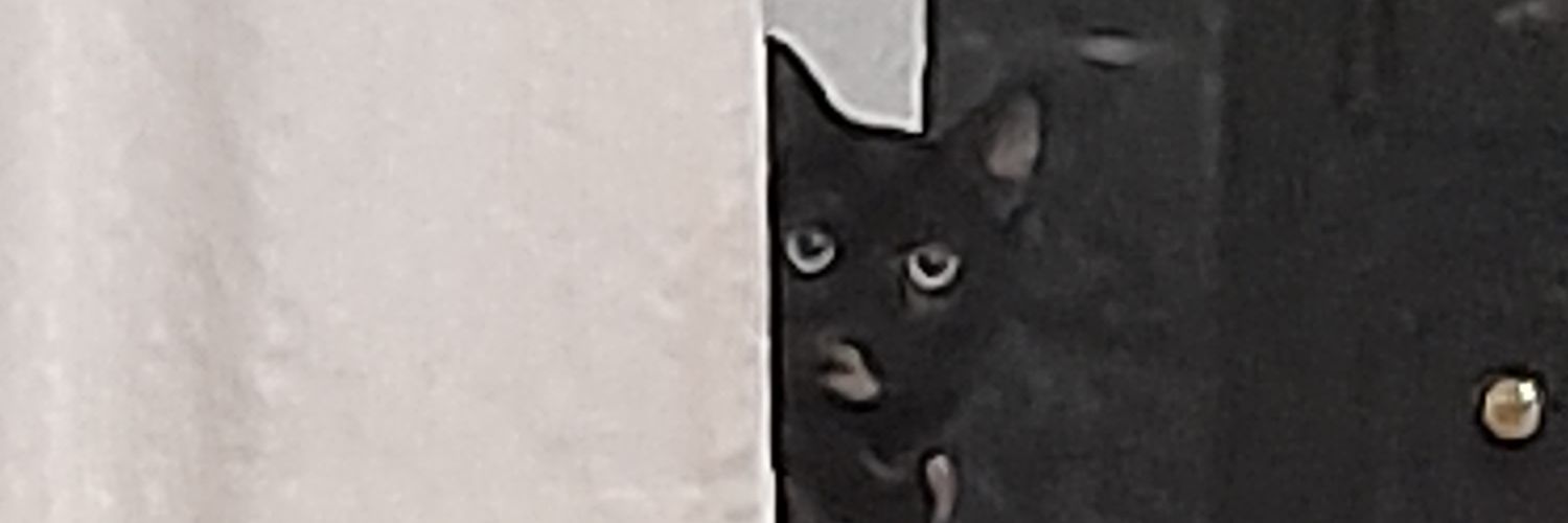 RAlganza's profile banner image