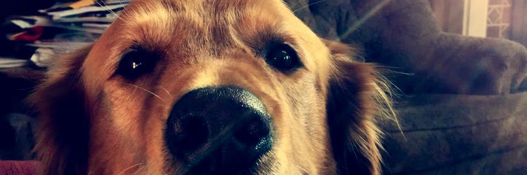 breary_'s profile banner image