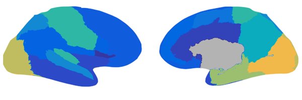 AnphyLab Profile Banner