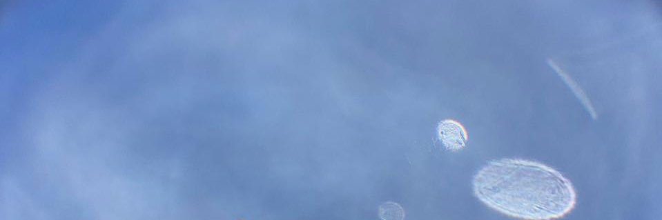IvanIvengo's profile banner image