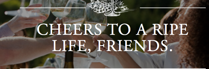 TheRipeLife's profile banner image