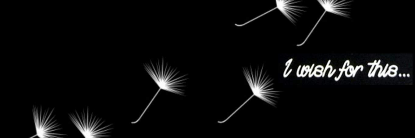 Dasota (Elliot) banner