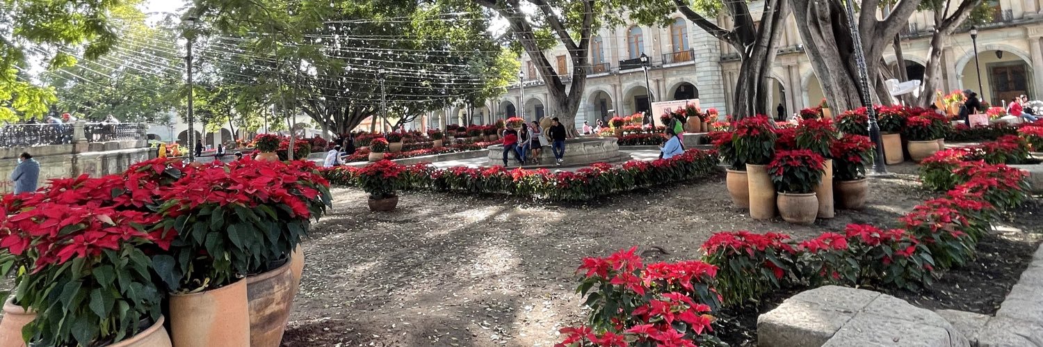 Nora Rivera 💬 banner