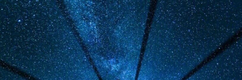 검은 정원 banner