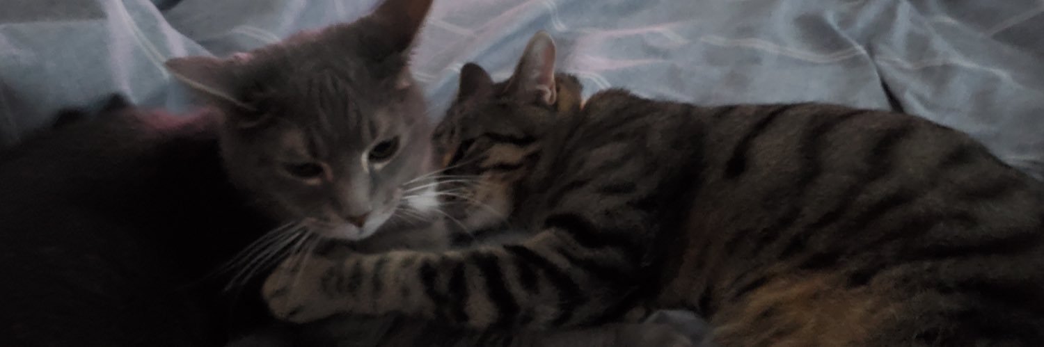 notpizzaroll's profile banner image