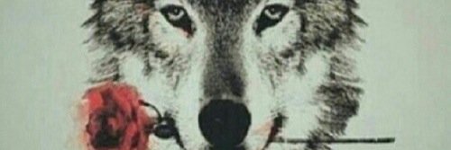 r0manticbitch's profile banner image