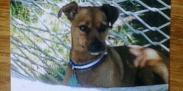tuti2325's profile banner image