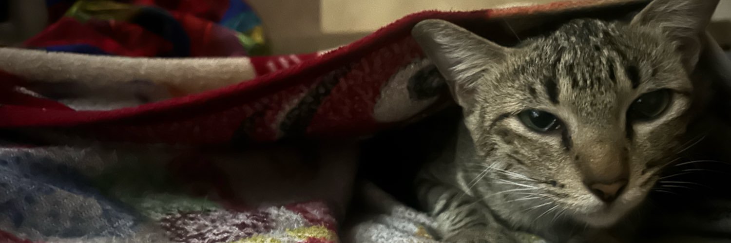 ceeryalbox's profile banner image