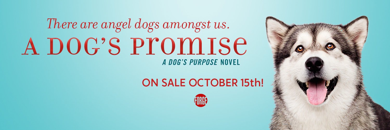 wbrucecameron's profile banner image