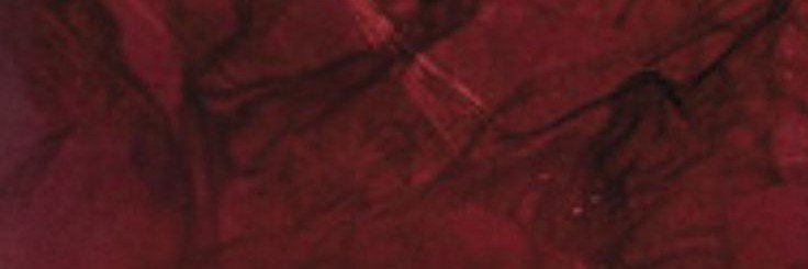 𝐇𝐔𝐍𝐓𝐄𝐑 🇱🇺 ⌾ banner
