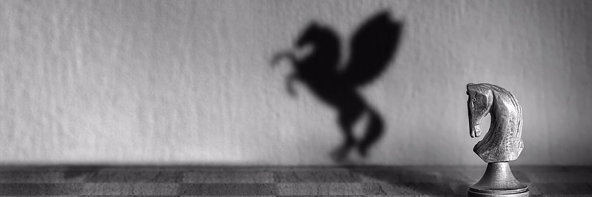 Bela Stankova banner