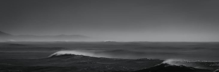 ✦ banner