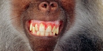 NickBloomerBro's profile banner image