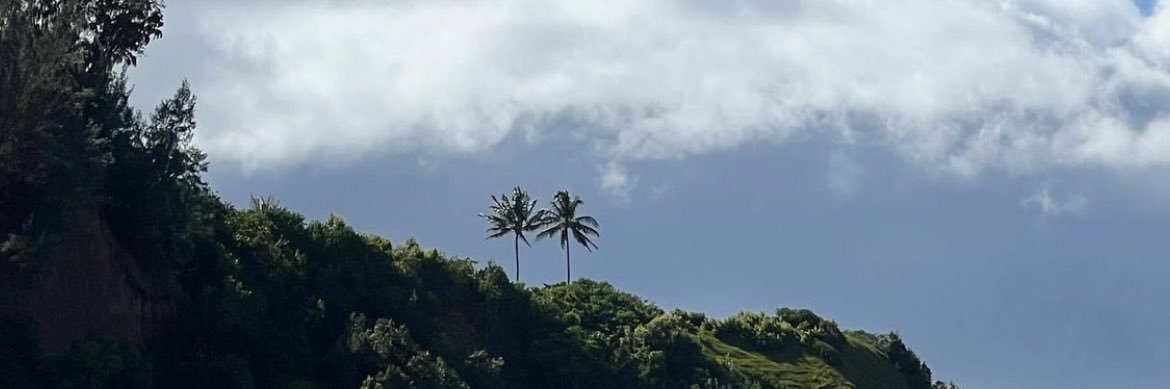 arianaaruba's profile banner image