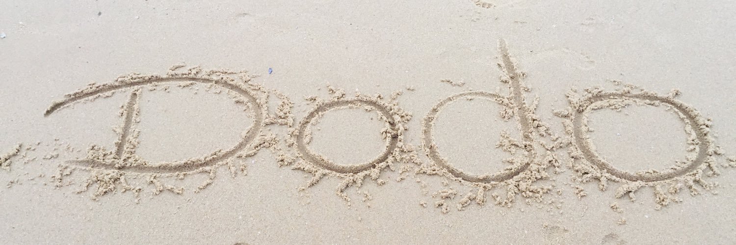 Dodo_Nys's profile banner image