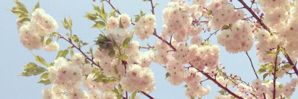 easybored Profile Banner