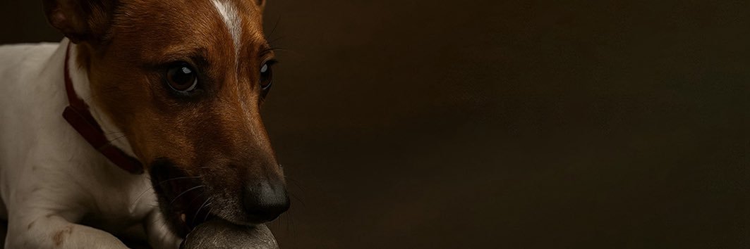 Mag111297's profile banner image