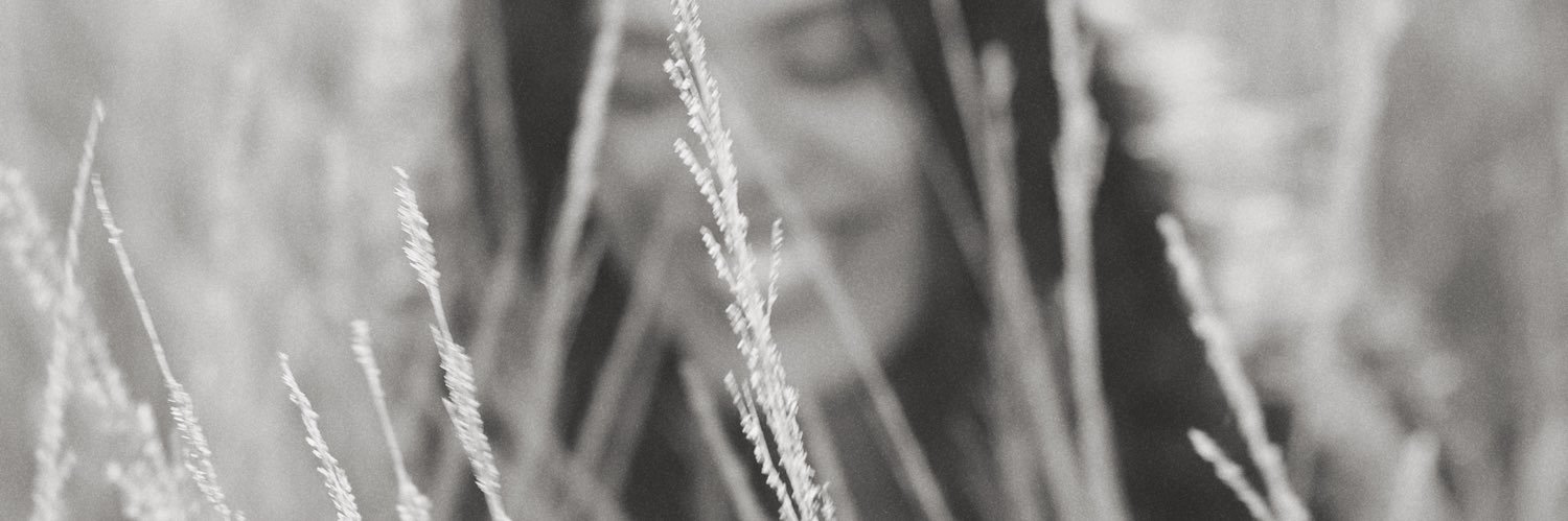 renatachafer's profile banner image