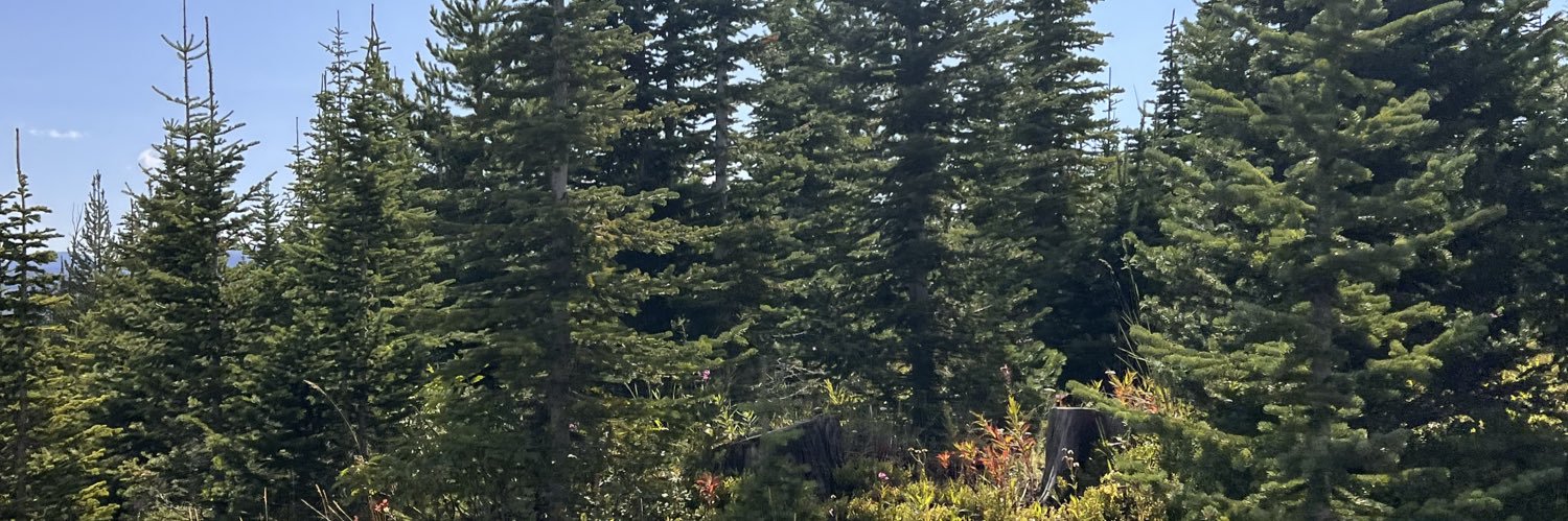 ktmurrell's profile banner image