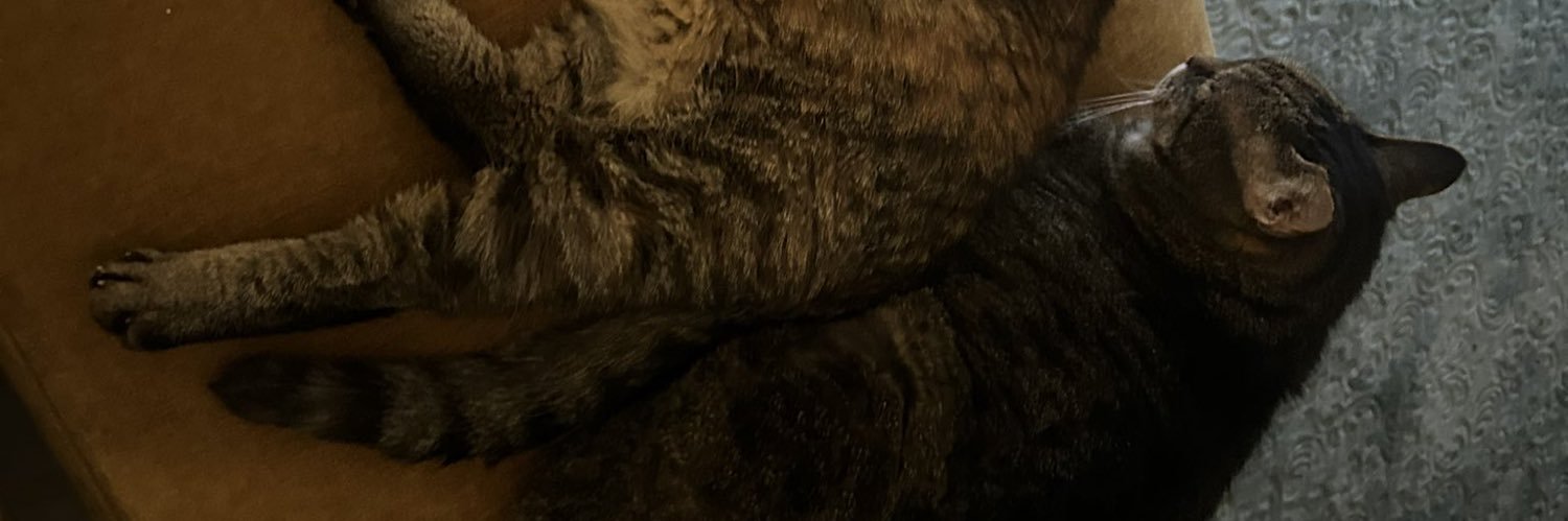elaf banner