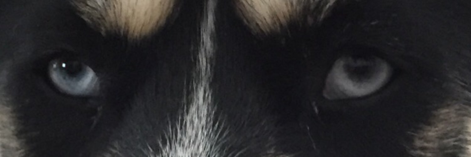 Jared banner