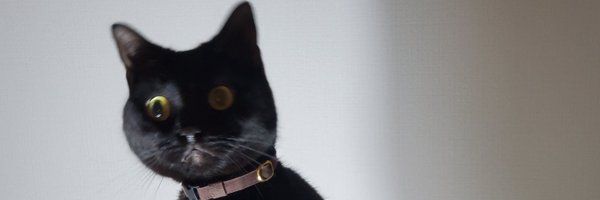 g0umot0 Profile Banner