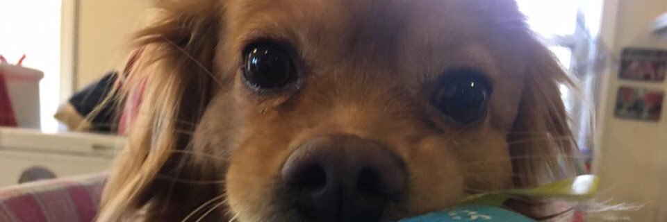 LorienSt's profile banner image