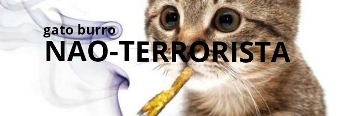 gat0burro's profile banner image