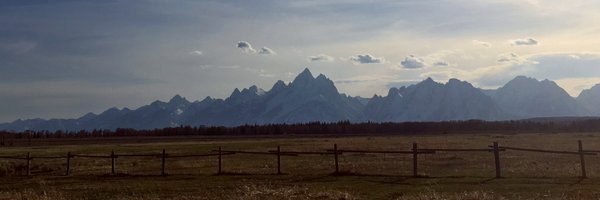 adny Profile Banner