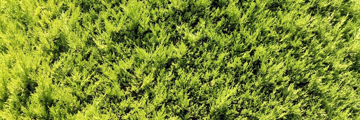 alex_losk's profile banner image