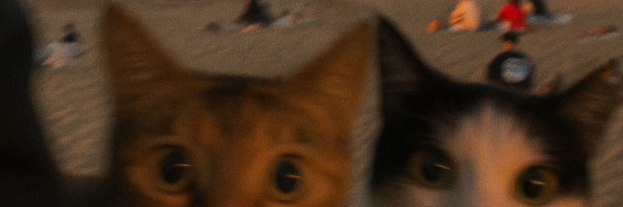 jonathanmranda's profile banner image