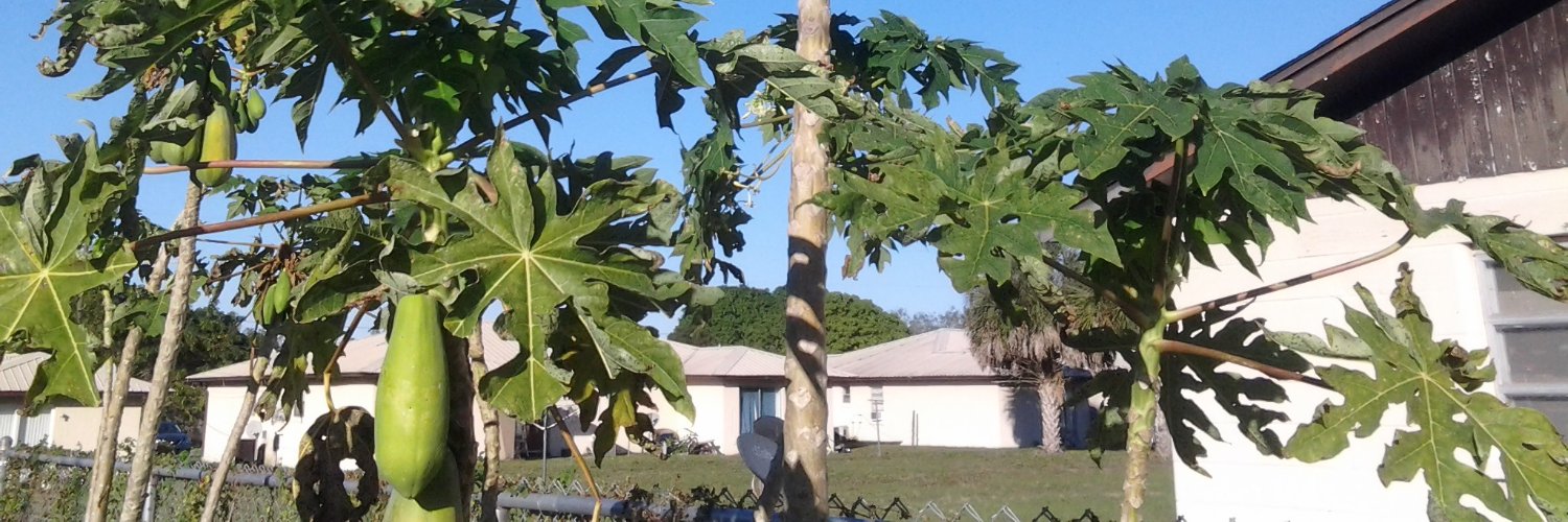 Jon Stephen Zwayer banner