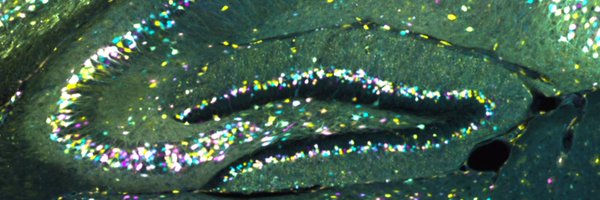 researchspencer Profile Banner