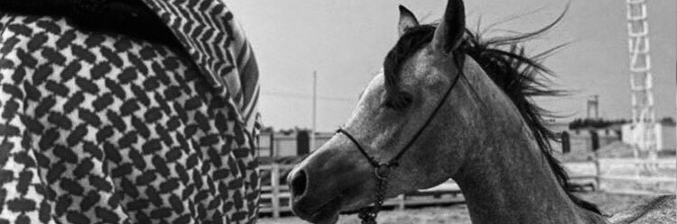 ytrkey's profile banner image