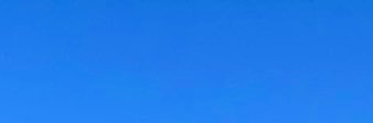 バンブーウッド banner