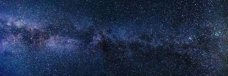 798Toast's profile banner image