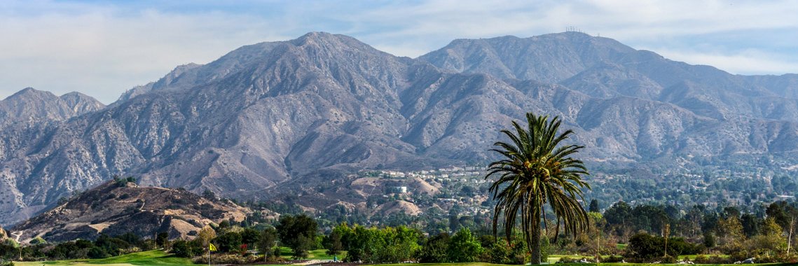 Councilwoman Monica Rodriguez banner