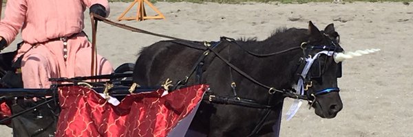 CorrieDoh Profile Banner