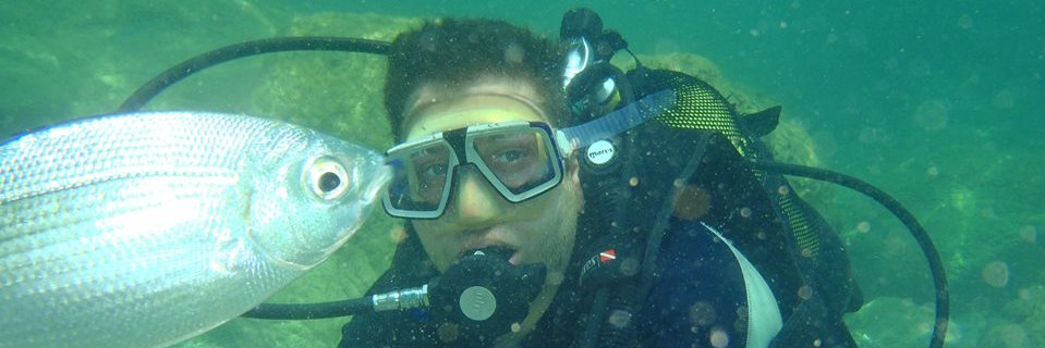 DaveM_Running's profile banner image