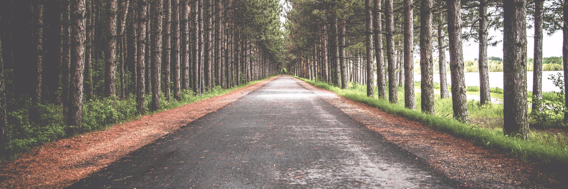 JohnMulpas's profile banner image
