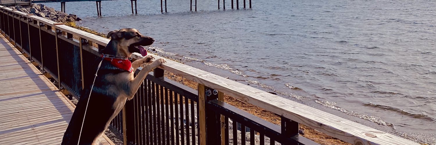 Deandra_Taylor's profile banner image