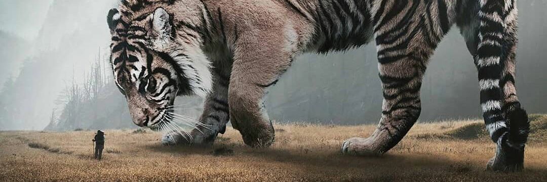 iibozkurt's profile banner image