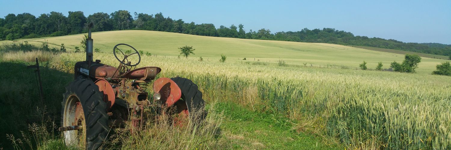 ChipMillerTN's profile banner image