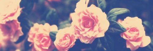 danielleee8396's profile banner image