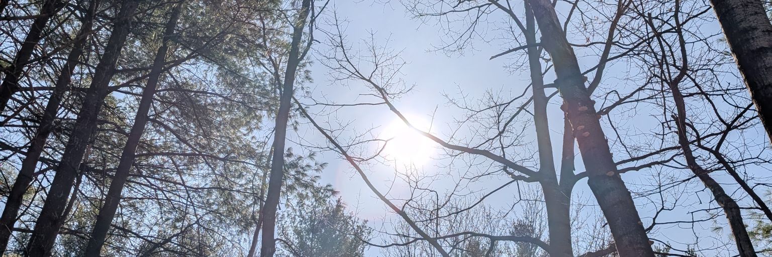 RoyalDiamond28's profile banner image