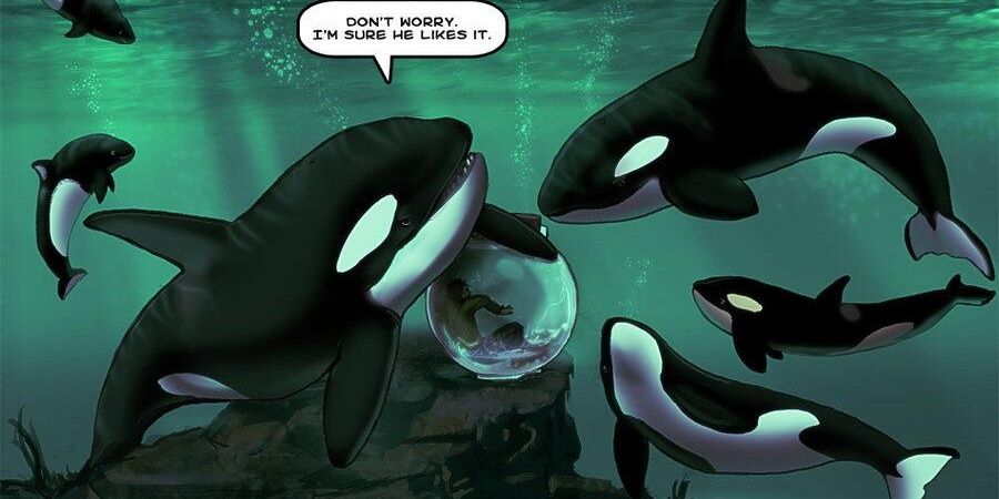 #EndCaptivity banner