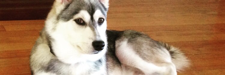 Michael Rodriguez banner